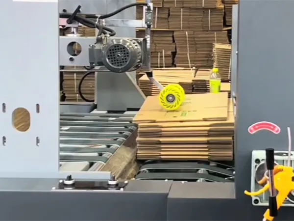 Carton Production Equipment