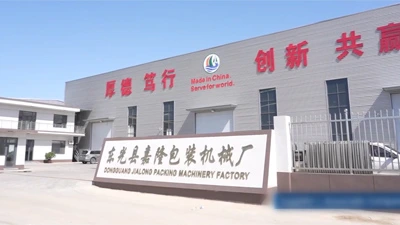 About Jialong (2025) 